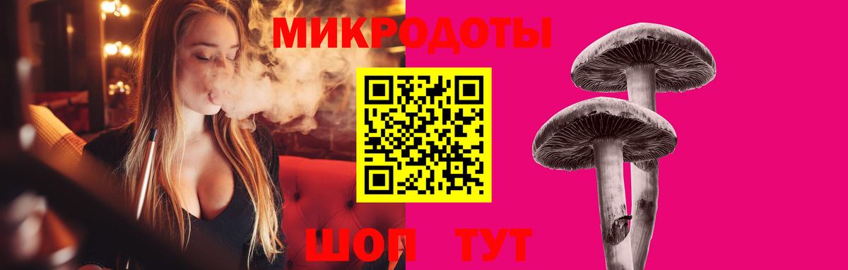 где найти   Галлюциногенные грибы мицелий  Вход с VPN  Псилоцибиновые грибы мухоморы  Чехов 